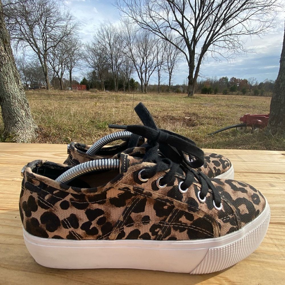 ✅Steve Madden Chetah print platform sneakers